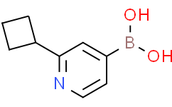 (2-cyclobutylpyridin-4-yl)boronic acid