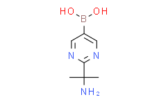 (2-(2-aminopropan-2-yl)pyrimidin-5-yl)boronic acid,95%