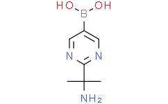 (2-(2-aminopropan-2-yl)pyrimidin-5-yl)boronic acid