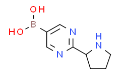 (2-(pyrrolidin-2-yl)pyrimidin-5-yl)boronic acid,95%