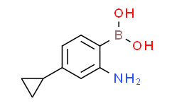 (2-amino-4-cyclopropylphenyl)boronic acid,95%