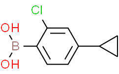 (2-chloro-4-cyclopropylphenyl)boronic acid