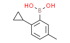 (2-cyclopropyl-5-methylphenyl)boronic acid,95%