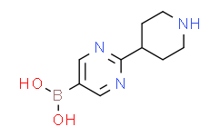 (2-(piperidin-4-yl)pyrimidin-5-yl)boronic acid,95%