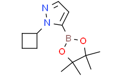 1-cyclobutyl-5-(tetramethyl-1,3,2-dioxaborolan-2-yl)-1H-pyrazole