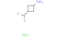 cis-3-(difluoromethyl)cyclobutanamine;hydrochloride