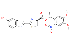 DMNPE-笼式荧光素