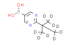 (2-(2-(methyl-d3)propan-2-yl-1，1，1，3，3，3-d6)pyrimidin-5-yl)boronic acid,95%