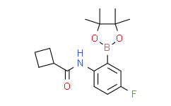 2-(环丁基甲酰胺基)-5-氟苯基硼酸频哪醇酯,95%
