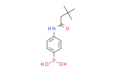 (4-(3，3-二甲基丁酰胺)苯硼酸,95%