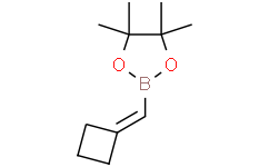 2-（环丁烯甲基）-4，4，5，5-四甲基-1，3，2-二氧杂硼烷,98%