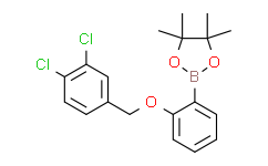 2-((3，4-二氯苯基)甲氧基)苯基硼酸频哪醇酯,95%
