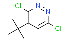 4-叔丁基-3，6-二氯哒嗪,97%