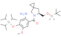 (S)-(2-氨基-5-甲氧基-4-((三异丙基硅基)氧基)苯基)(6-(((叔丁基二甲基硅基)氧基)甲基)-5-氮杂螺环[2.4]庚烷-5-基)甲酮