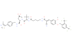 PROTAC ERRα Degrader-3