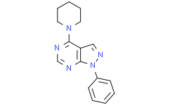 BUR1