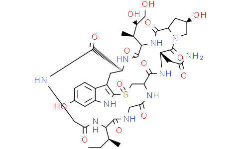 Α-毒伞肽