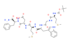 Boc-Cholecystokinin Octapeptide (3-8)