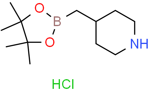 4-[(4,4,5,5-tetramethyl-1,3,2-dioxaborolan-2-yl)methyl]piperidine hydrochloride