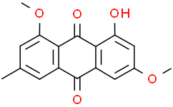 2025新老澳门原料
