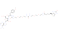 Puromycin-bis(PEG2-amide)-Biotin