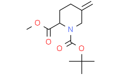 O1-tert-butyl O2-methyl 5-methylenepiperidine-1,2-dicarboxylate