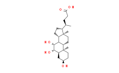 β-Muricholic acid