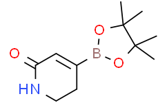 4-(4,4,5,5-tetramethyl-1,3,2-dioxaborolan-2-yl)-2,3-dihydro-1H-pyridin-6-one
