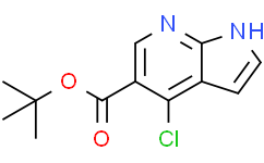 4-氯-1H-吡咯并[2,3-B]吡啶-5-羧酸叔丁酯