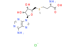 S-(5'-腺苷基)-L-氯化蛋氨酸