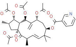 3,5,7,15-Tetraacetoxy-9-nicotinoyloxy-6(17),11-jatrophadien-14-one