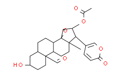19-Oxocinobufagin