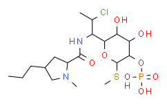 Clindamycin Phosphate.