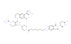 Thalidomide-NH-CBP/p300 ligand 2