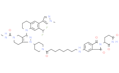 Thalidomide-NH-CBP/p300 ligand 2