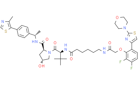 (2S,4R)-1-[(2S)-2-[6-[[2-[2,3-difluoro-6-(2-morpholinothiazol-4-yl)phenoxy]acetyl]amino]hexanoylamino]-3,3-dimethyl-butanoyl]-4-hydroxy-N-[(1S)-1-[4-(4-methylthiazol-5-yl)phenyl]ethyl]pyrrolidine-2-carboxamide