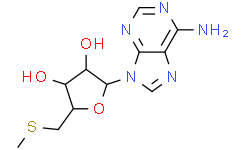 甲硫腺苷