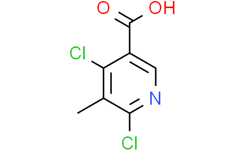 4,6-dichloro-5-methyl-pyridine-3-carboxylic acid