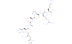 CDK2