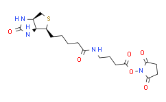 生物素-丁氨酸-活性酯