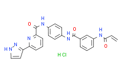 JH-X-119-01 hydrochloride