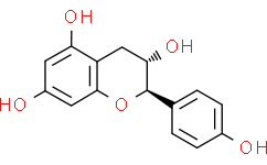 阿夫儿茶精