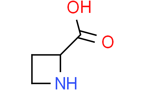 azetidine-2-carboxylic acid