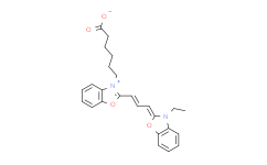 Cyanine2 羧酸