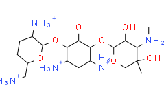 庆大霉素C1a