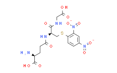 S-(2，4二硝基苯基)-谷胱甘肽,95%
