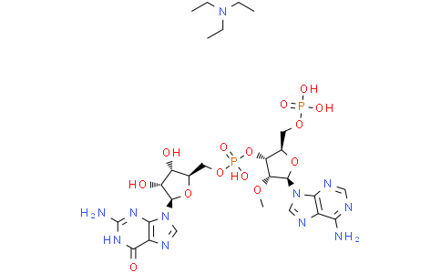 Tris(triethylamine) ((2R,3R,4R,5R)-3-(((((2R,3S,4R,5R)-5-(2-amino-6-oxo-3,6-dihydro-9H-purin-9-yl)-3,4-dihydroxytetrahydrofuran-2-yl)methoxy)oxidophosphoryl)oxy)-5-(6-amino-9H-purin-9-yl)-4-methoxytetrahydrofuran-2-yl)methyl phosphateCas:2638447-50-2