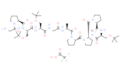 (S)-N-((S)-1-氨基-3-(叔丁氧基)-1-氧代丙烷-2-基)-1-(O-(叔丁基)-N-(O-(叔丁基)-N-甘氨酰-L-脯氨酰-L-丝氨酰)-L-丝氨酰甘氨酰-L-丙氨酰-L-脯氨酰-L-脯氨酰)吡咯烷-2-甲酰胺三氟乙酸盐