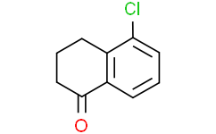 CaMKII Rabbit mAb