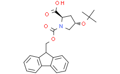 (2R，4S)-1-(((9H-芴-9-基)甲氧基)羰基)-4-(叔丁氧基)吡咯烷-2-羧酸